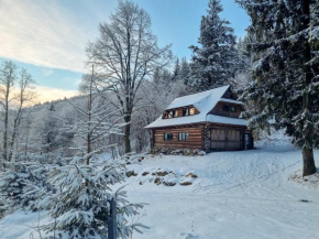 Domek Górski przy Bukowej Chacie, Jugów